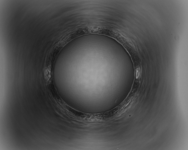 X0000093111011200710101018