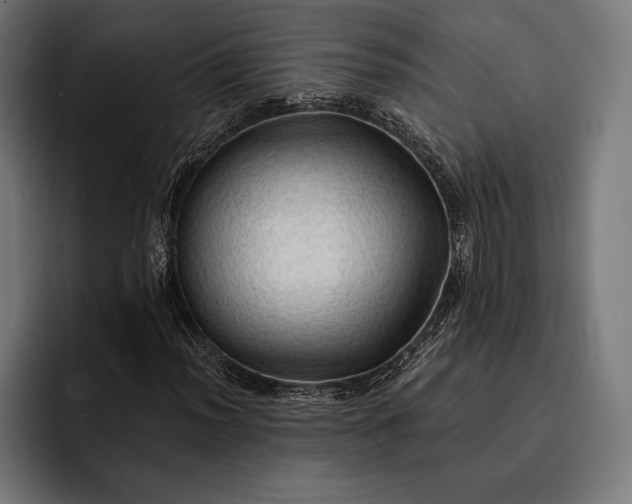 X0000093111012200710101018