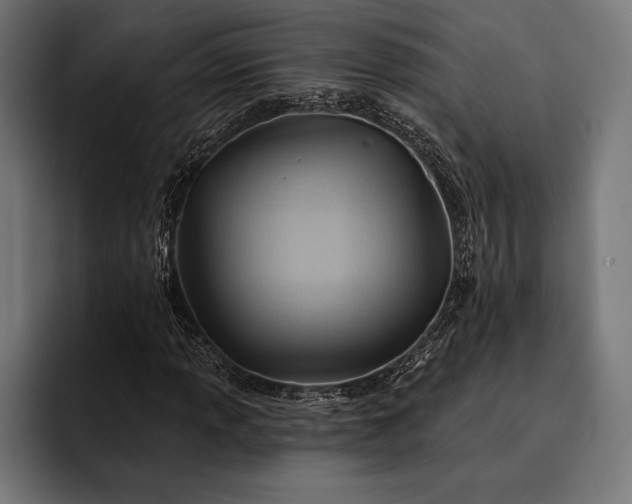 X0000093111013200710101018