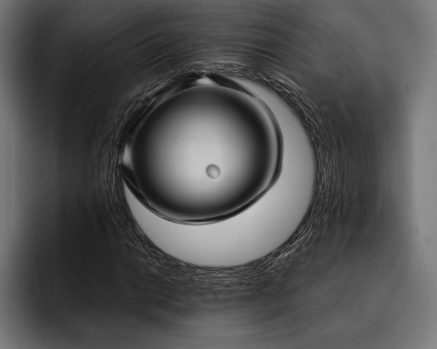 X0000093111014200710101018