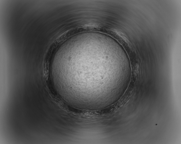 X0000093111015200710101018