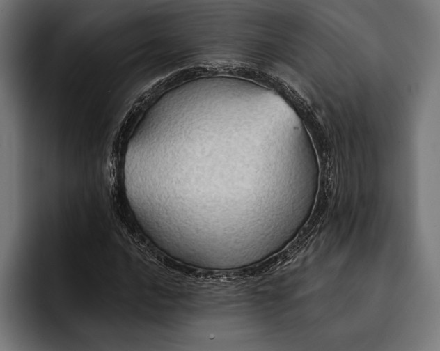 X0000093111016200710101018