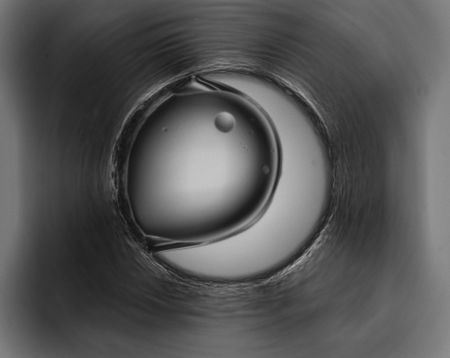 X0000093111018200710101018