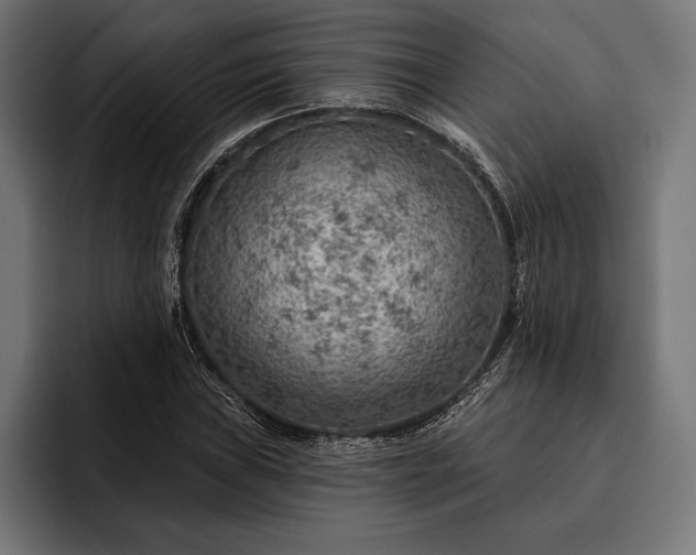 X0000093111019200710101018