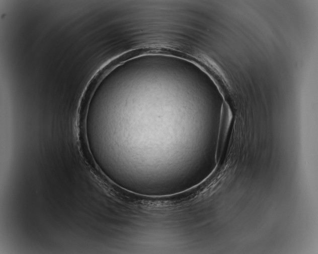 X0000093111020200710101018