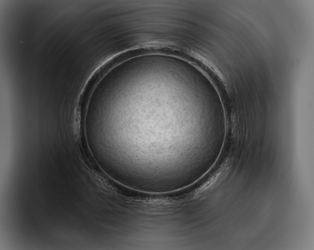 X0000093111021200710101018