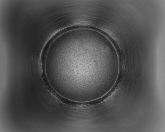 X0000093111022200710101018