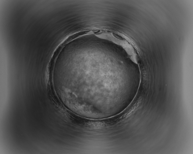 X0000093111023200710101018