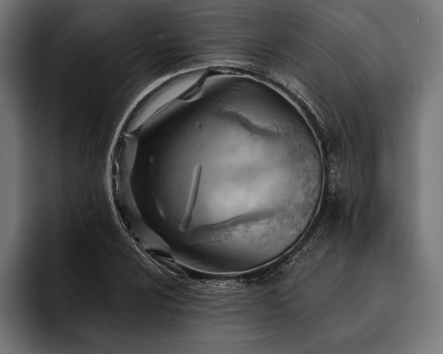 X0000093111024200710101018