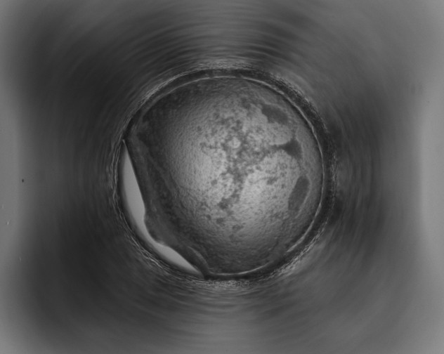 X0000093111025200710101018