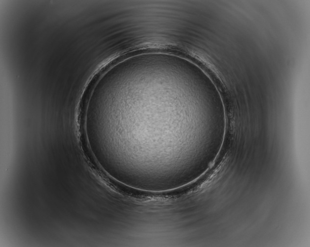 X0000093111026200710101018