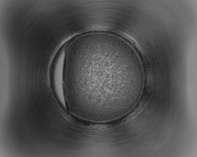 X0000093111027200710101018