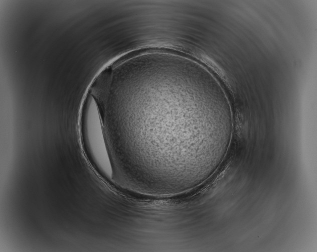 X0000093111028200710101018