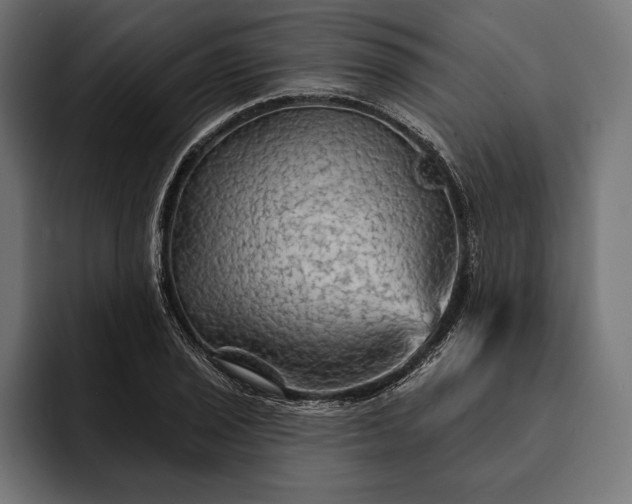 X0000093111029200710101018