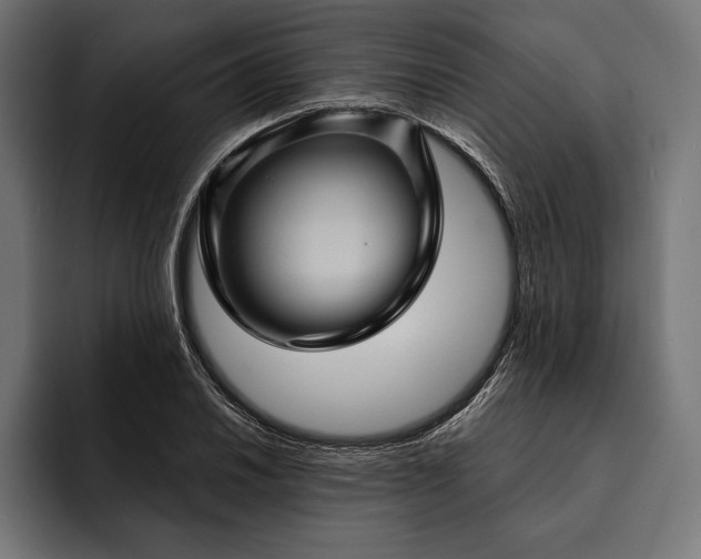 X0000093111030200710101018