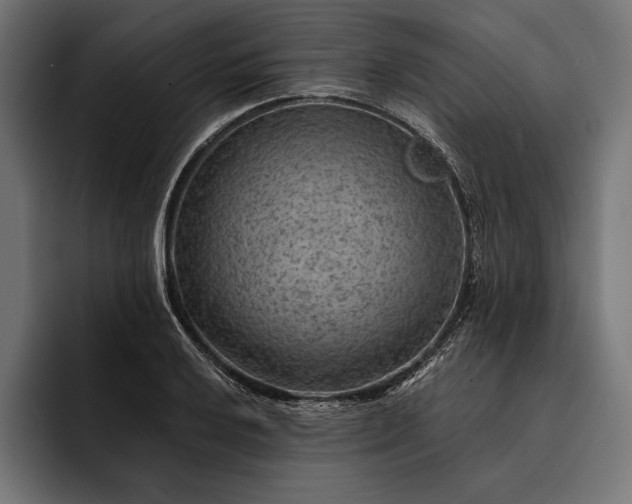 X0000093111032200710101018