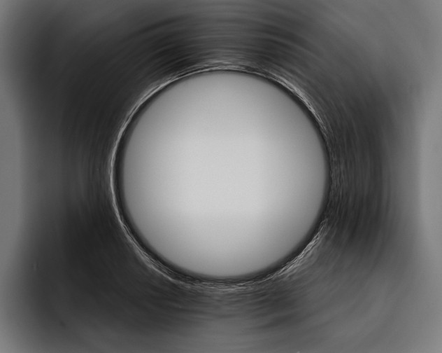 X0000093111034200710101018