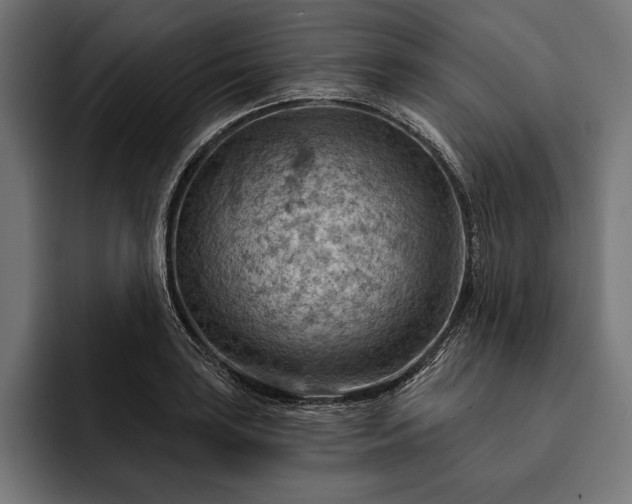 X0000093111035200710101018