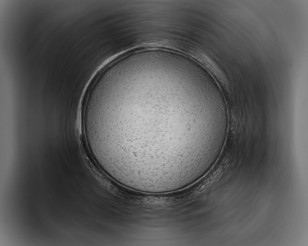 X0000093111036200710101018