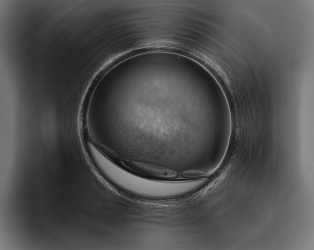 X0000093111037200710101018