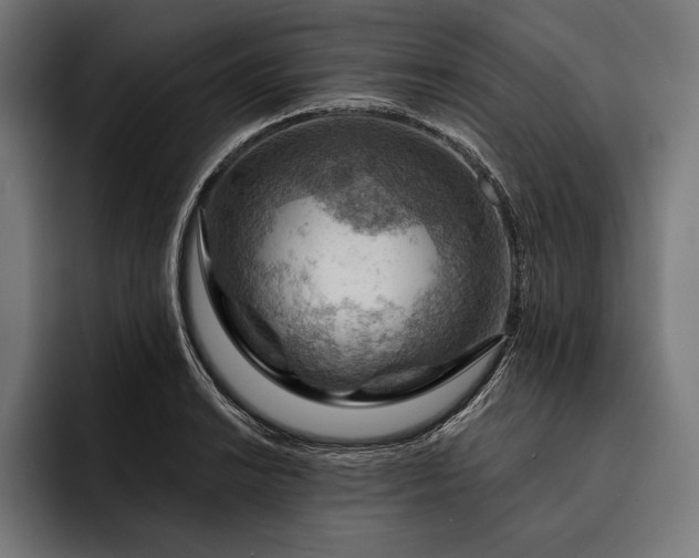 X0000093111038200710101018