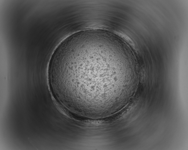 X0000093111039200710101018