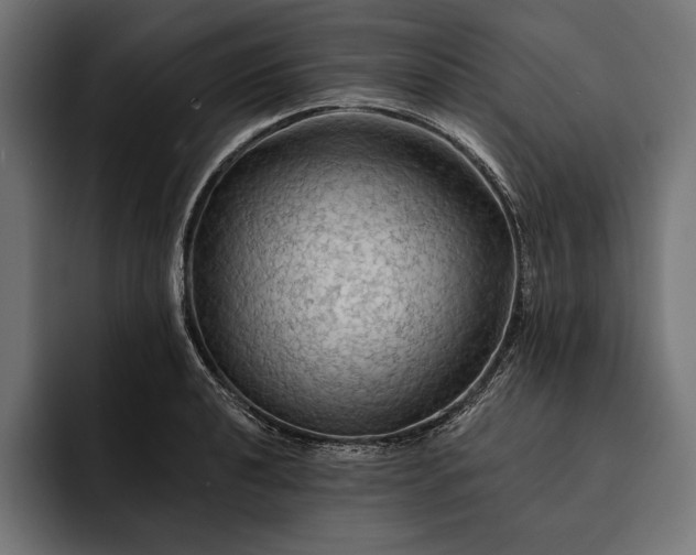 X0000093111040200710101018