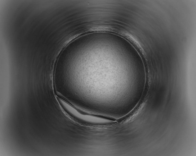 X0000093111041200710101018