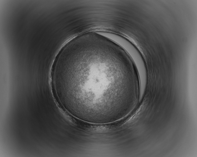 X0000093111042200710101018