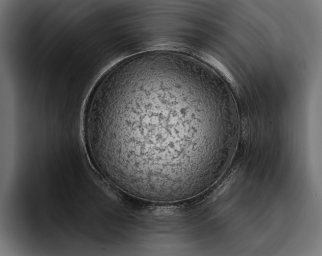 X0000093111043200710101018