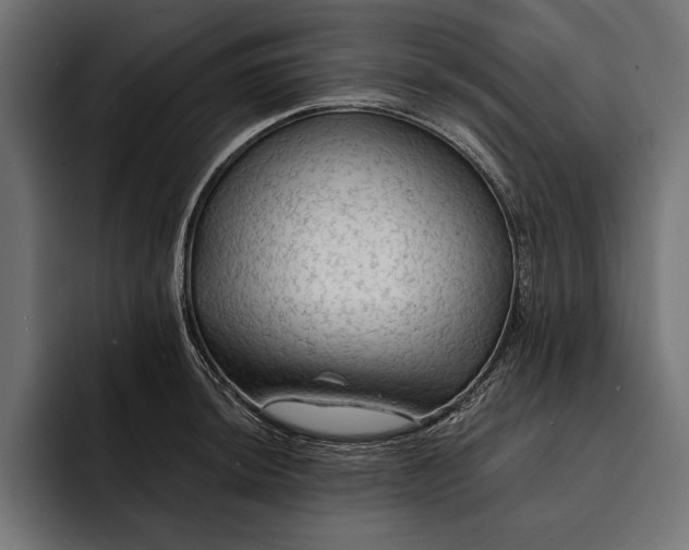 X0000093111044200710101018