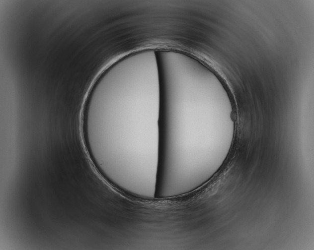 X0000093111045200710101018