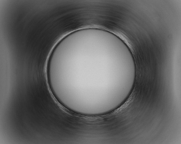 X0000093111046200710101018