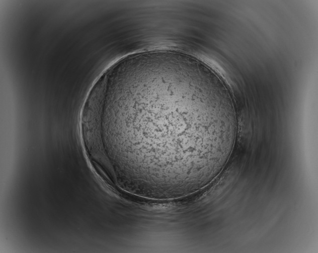 X0000093111047200710101018