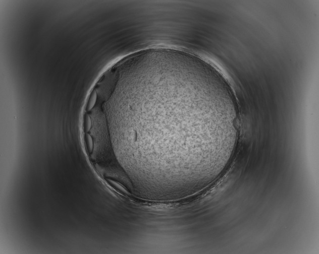 X0000093111048200710101018