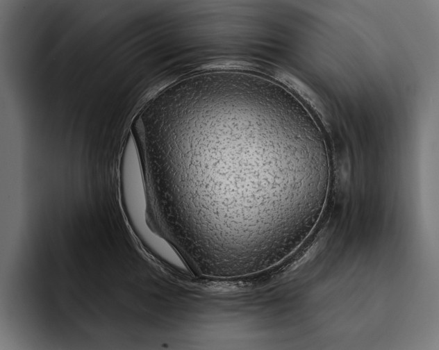 X0000093111049200710101018