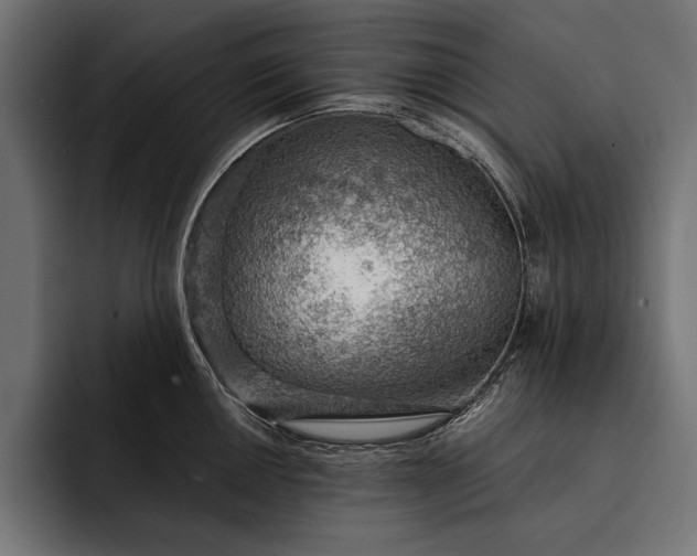 X0000093111050200710101018