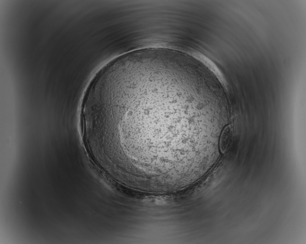 X0000093111051200710101018