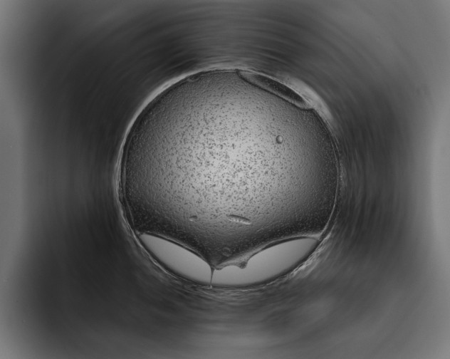 X0000093111052200710101018