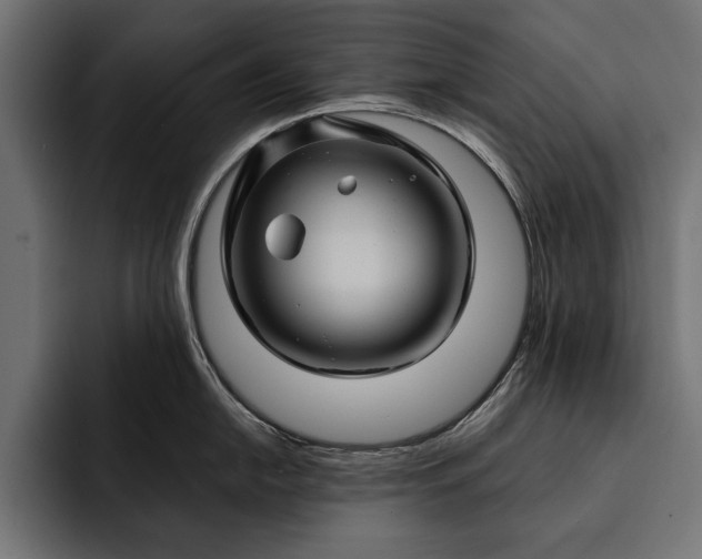 X0000093111054200710101018