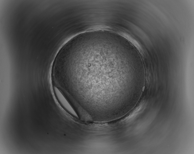 X0000093111055200710101018