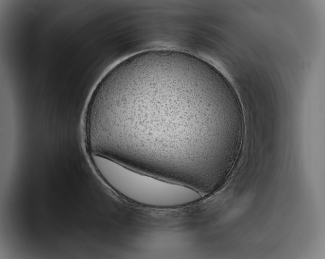 X0000093111056200710101018