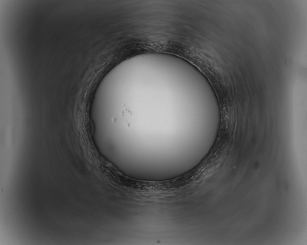 X0000093111057200710101018