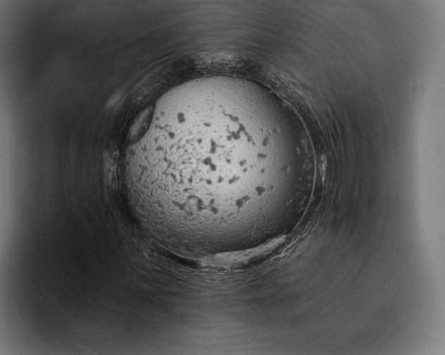 X0000093111059200710101018