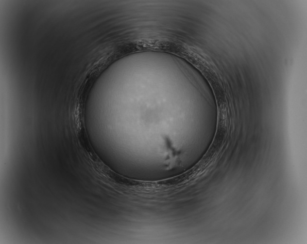 X0000093111060200710101018