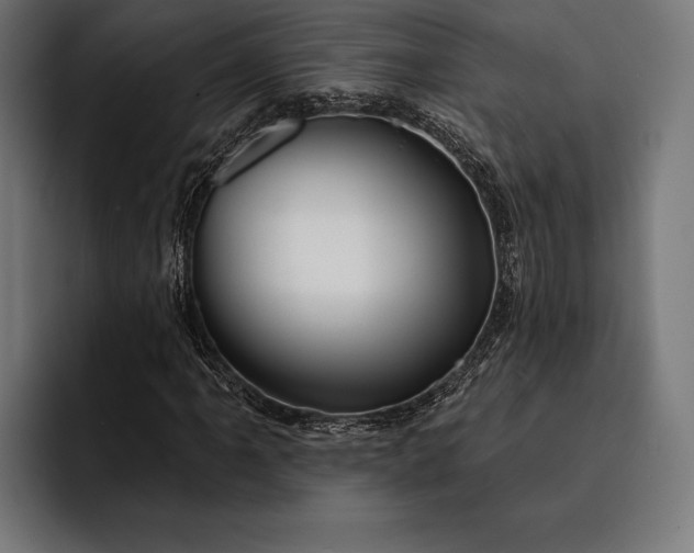 X0000093111061200710101018