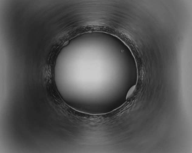 X0000093111062200710101018