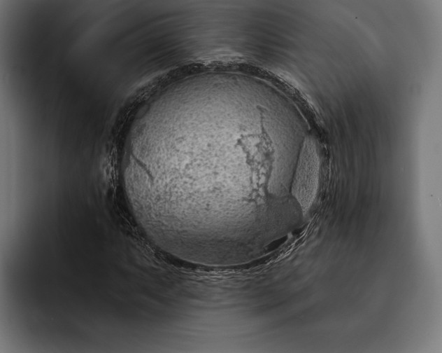 X0000093111063200710101018