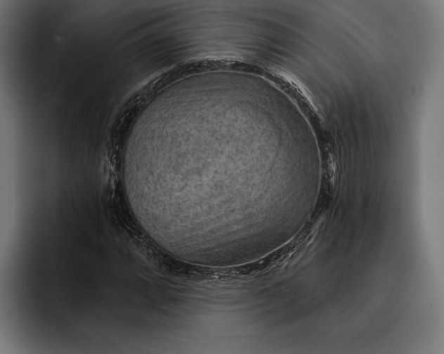 X0000093111064200710101018