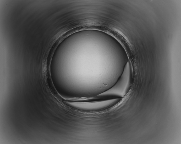 X0000093111065200710101018